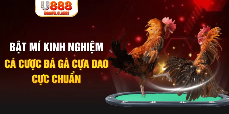 viet jack trong baccarat, ai là người chia bài chính？