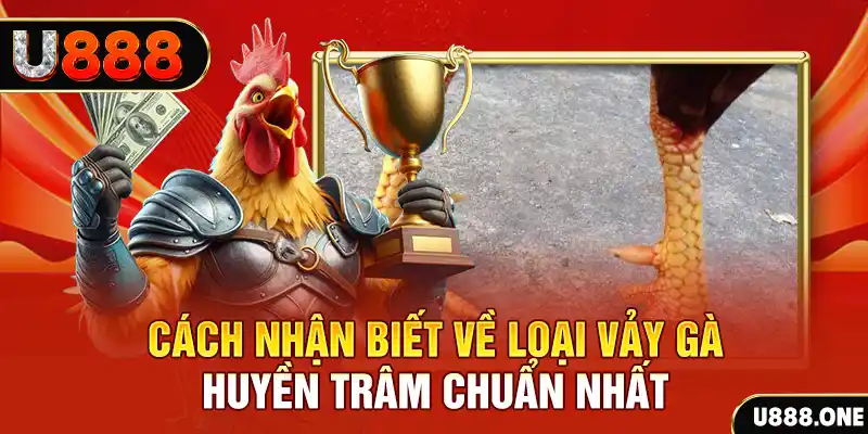 viet jack Chú hề Patty tuổi teen