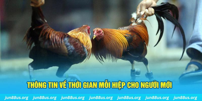 viet jack Long Hổ 2