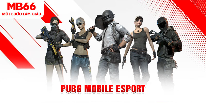 viet jack gà chọi c1 mới nhất