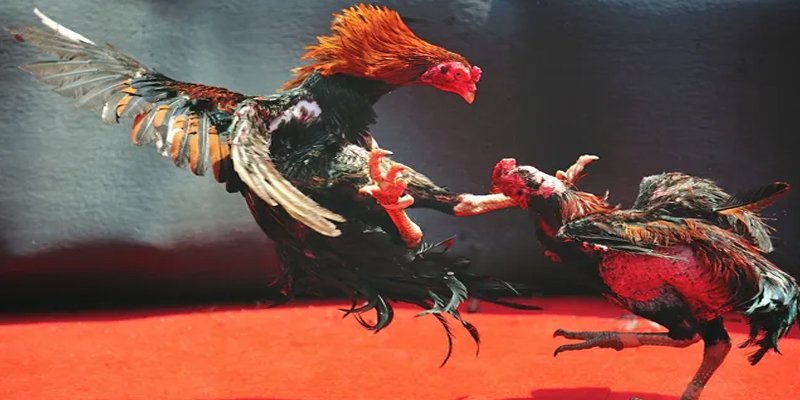 viet jack đăng nhập nổ hũ số 1