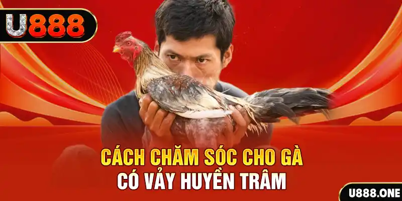 viet jack đăng nhập phỏm uy tín