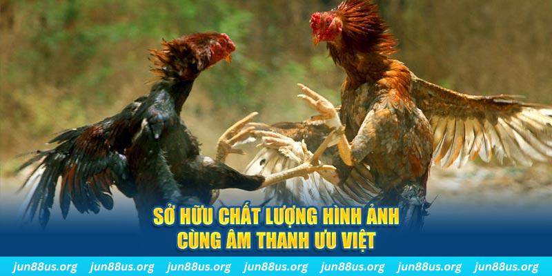 viet jack bắn cá 30