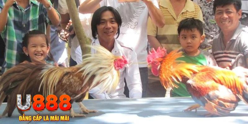 viet jack mơ thấy nổ hũ đánh con gì