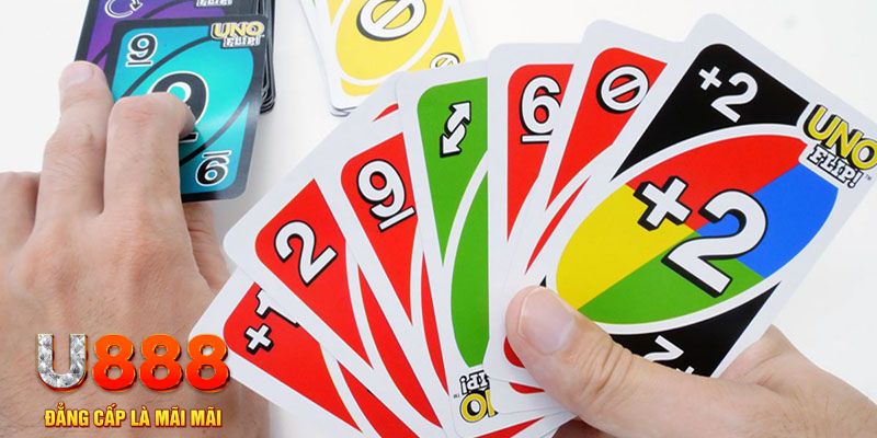 viet jack gà chọi