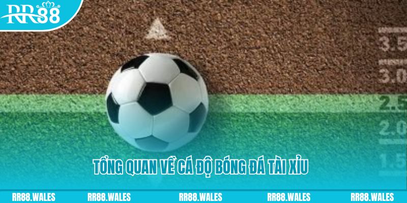 viet jack JDB Điện Tử