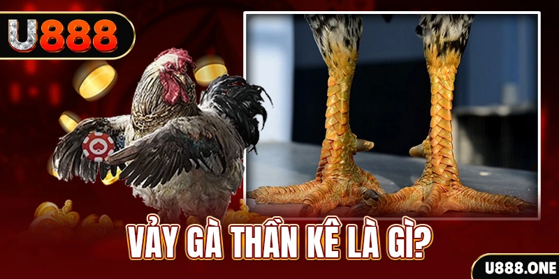 viet jack xổ số miền bắc thứ tư hàng tuần