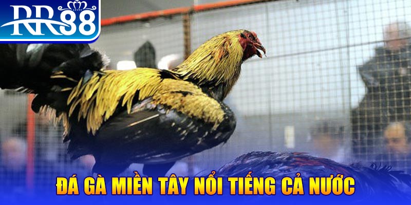 viet jack đăng nhập liêng miễn phí