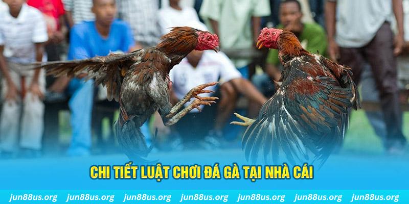 viet jack đá gà campuchia