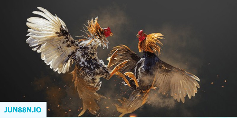 viet jack bắn cá long vương