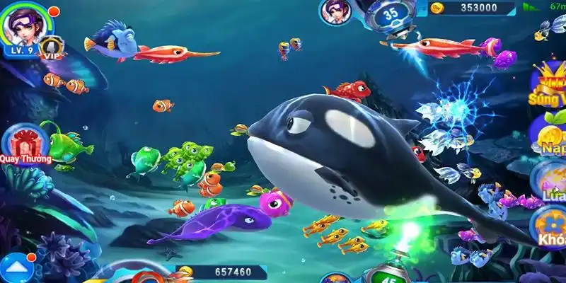 viet jack truc tiep da ga