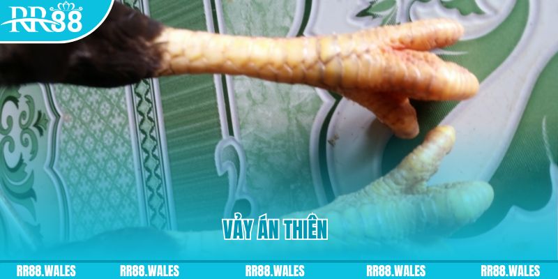 viet jack who wants to be a millionaire slot