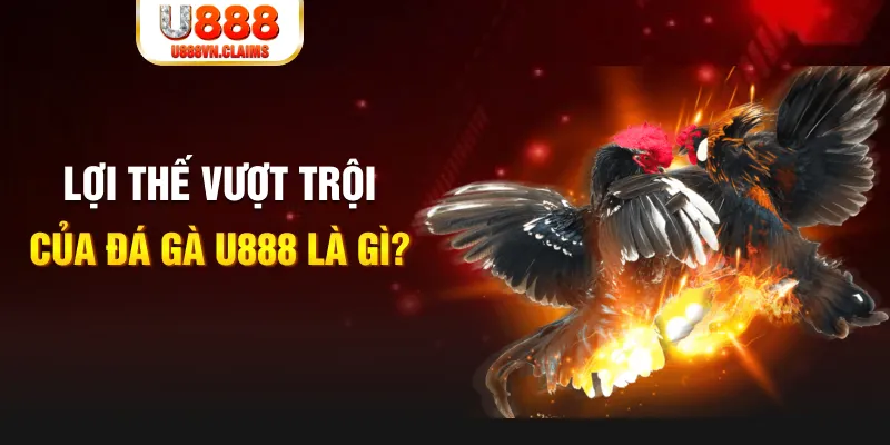 viet jack 888 slot là gì